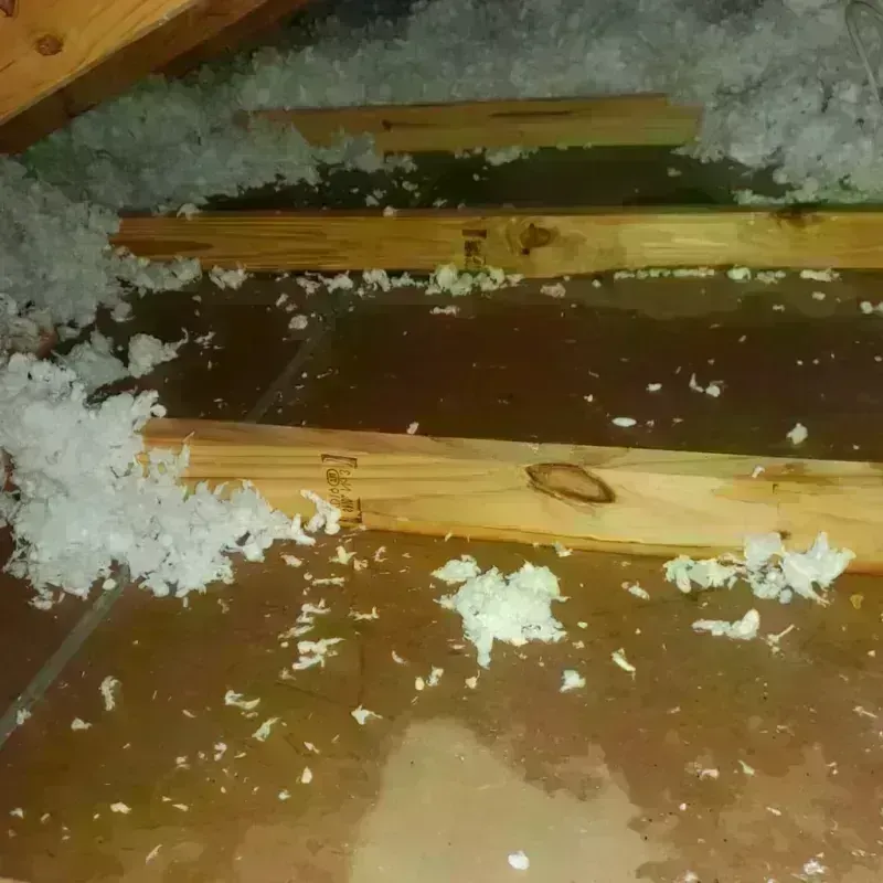 Attic Water Damage in Superior, WI