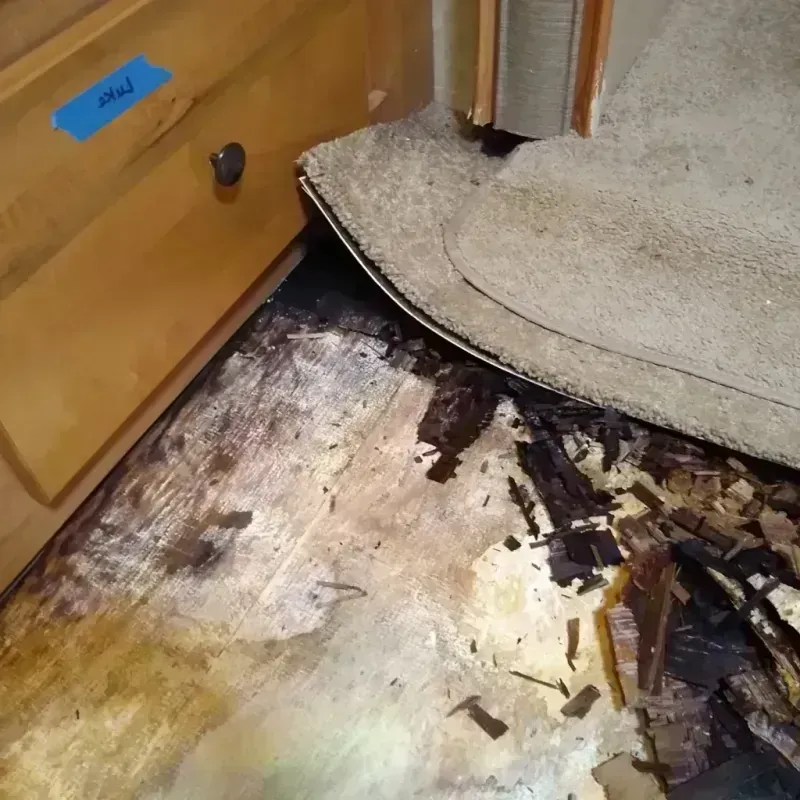 Wood Floor Water Damage in Superior, WI